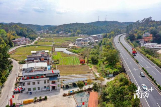 治理有序、产业兴旺的陂蓬村。南方日报记者 何森垚 摄