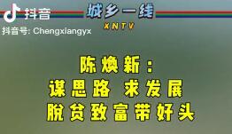 谋思路，求发展，脱贫致富带好头。