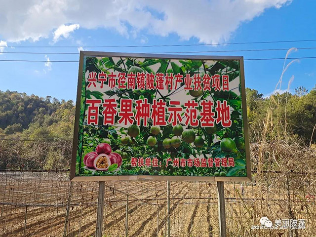 百香果种植示范基地