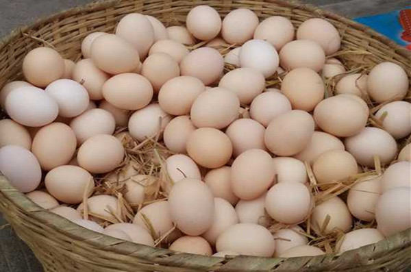鸡蛋