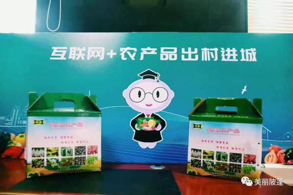 农产品出村进城