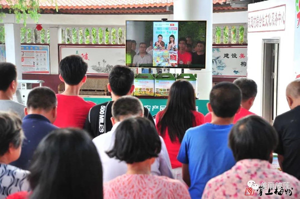 农产品出村进城