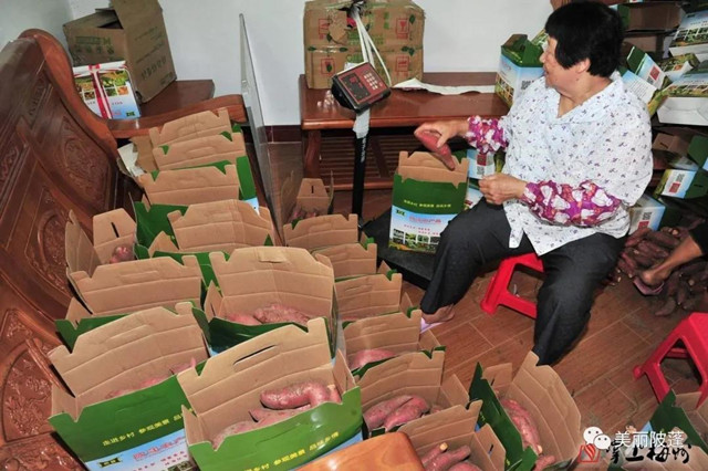 农产品出村进城