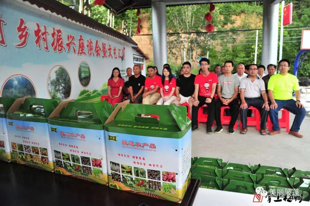 农产品出村进城