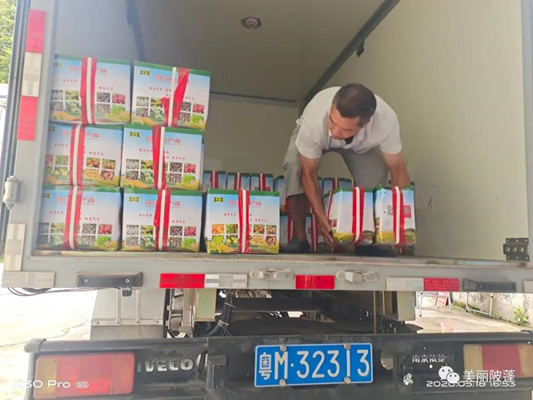 农产品出村进城