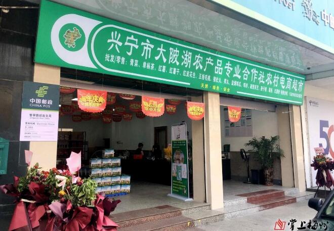 兴宁市大陂湖农产品贸易专业合作社法人、陂蓬村书记陈焕新