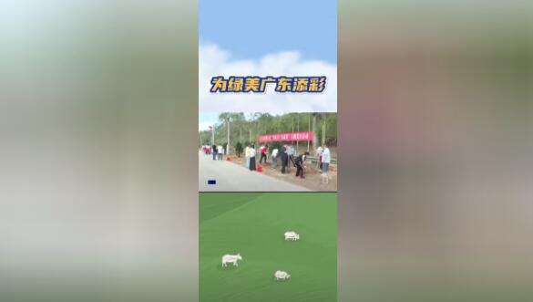 为绿美广东添彩