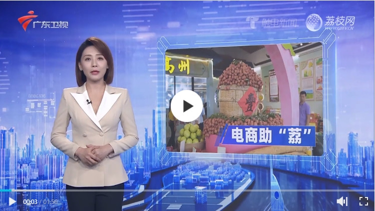 第二届广东（茂名）荔枝电商消费节开幕 助“荔”出圈